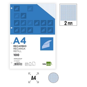 Liderpapel Paper 100 g Recharge Papier Grille 2 mm (4 Trous Perforés)