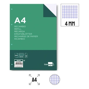 Liderpapel Paper Refill 60 g Papier Quadrillé de 4 mm (Perforé à 4 Trous)