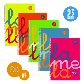 Lamela Cahier Polypropylène / Folio (5 Pcs. Assorties)