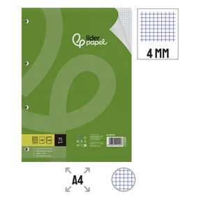 Liderpapel Paper Recharge Quadrillé 4 mm