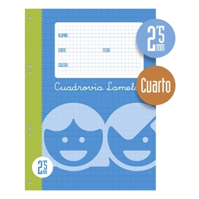 Lamela Recharge A5 100 feuilles