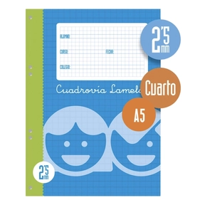 Lamela Recharge A5 100 feuilles