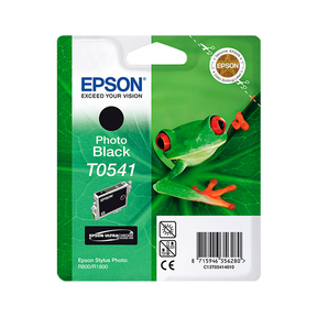 Epson T0541 Noir Originale