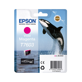 Epson T7603 Magenta Vif Originale
