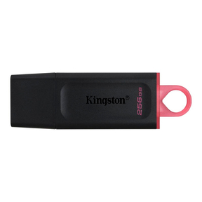 Kingston USB DataTraveler Exodia con Tapa (256 GB)